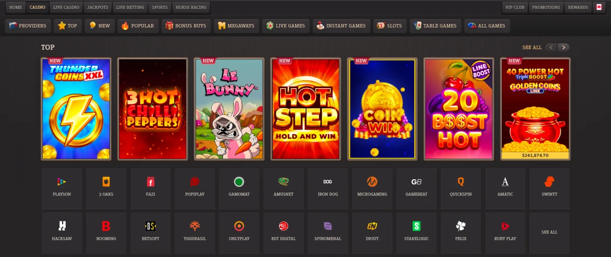 Slots and game providers screenshot